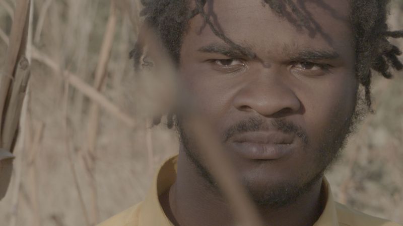 Femi Nylander African Apocalypse