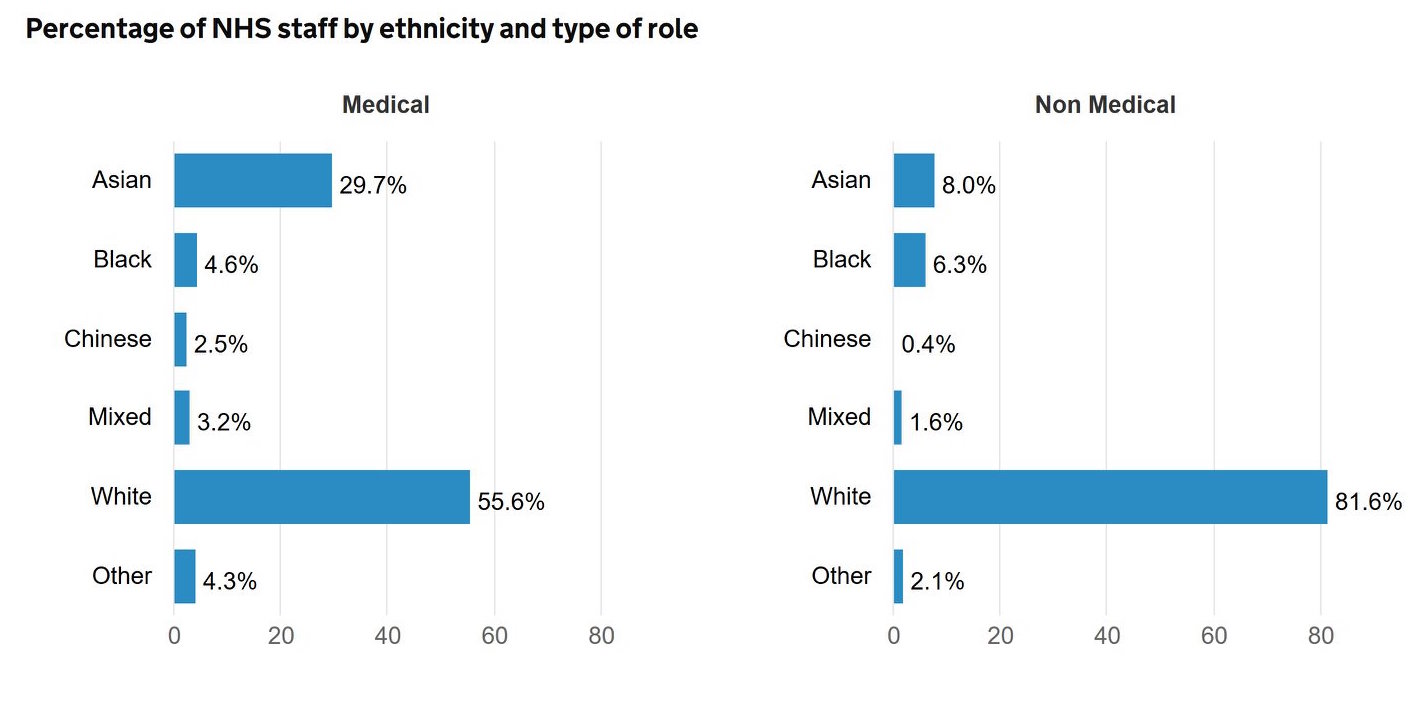 Graph NHS Ethnic Minorities Cropped
