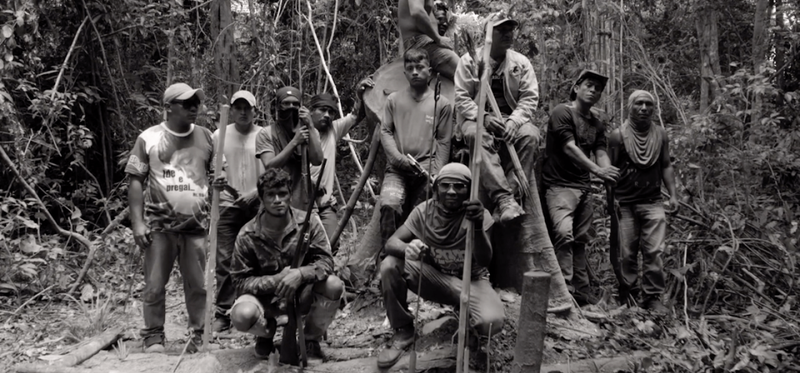 Guarding the Forest - Native Spirit Film Festival