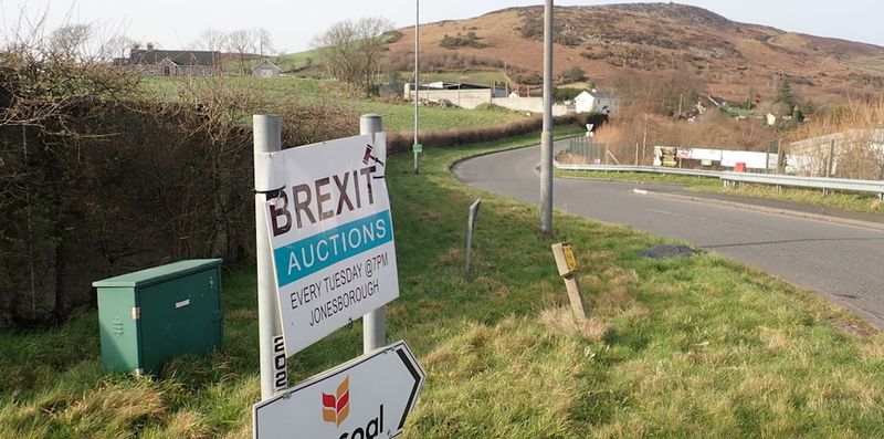Brexit - Febrile - Kevin Higgins