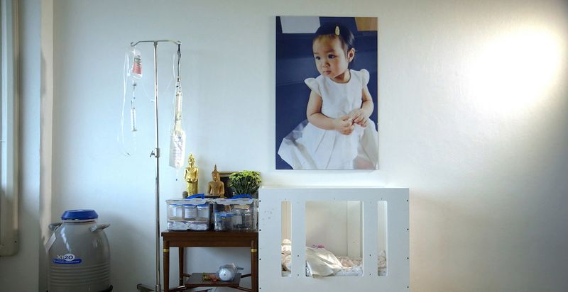 Hope Frozen (Pailin Wedel)