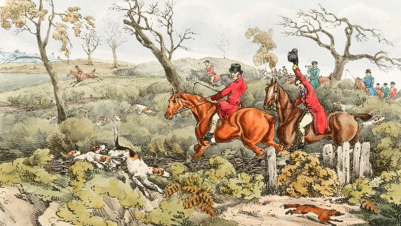 Fox Hunting Political Poem by Kevin Higgins